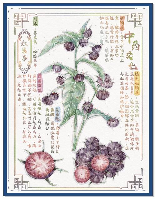 《本草纲目》在线阅读｜李时珍原版古籍白话文查询