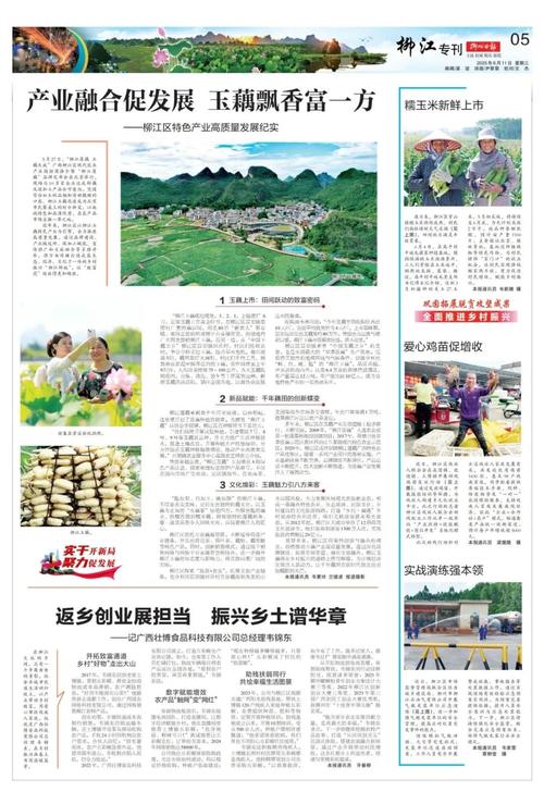 柳州晚报今日在线阅读｜掌握龙城最新资讯动态
