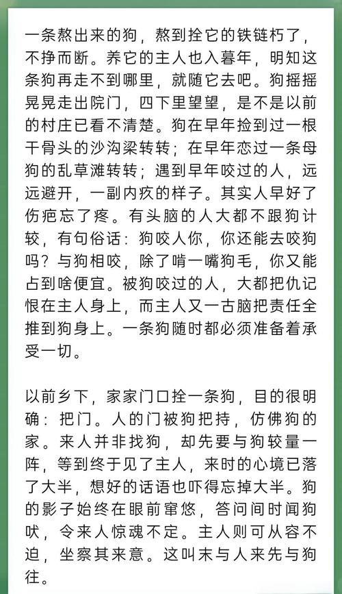 在线免费阅读《悲惨世界》完整版 | 世界文学名著在线阅读
