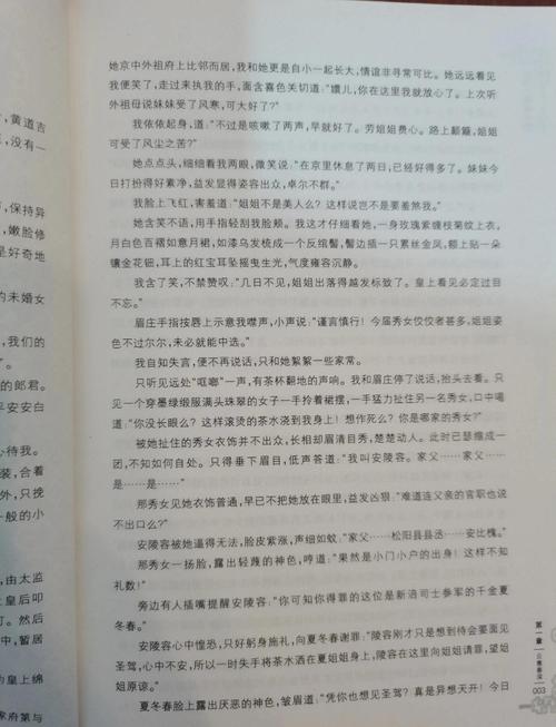 全职高手全文在线阅读 | 叶修荣耀征程