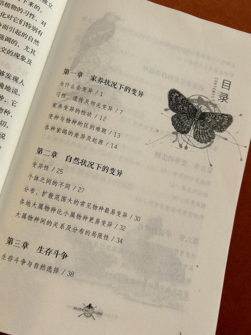 中国国家地理在线阅读｜探索华夏奇观，尽览地理之美