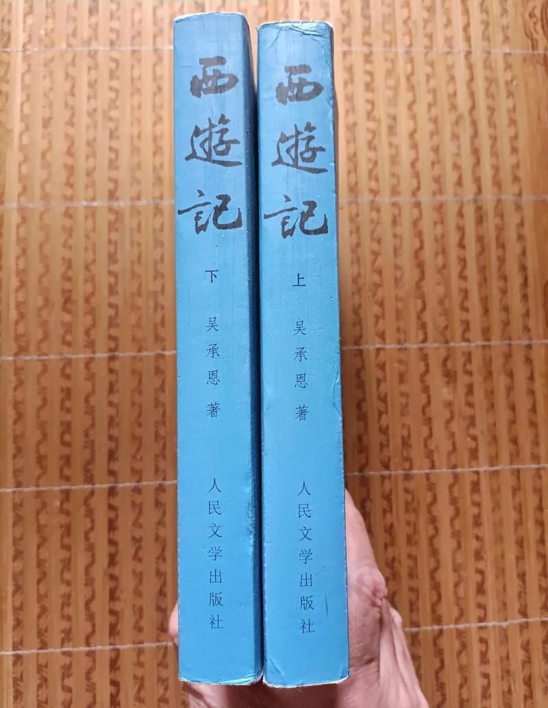 所有失去的在线阅读：感悟失去与珍惜当下的心灵之旅