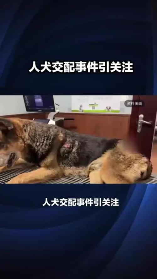 人狗合集全文在线阅读 | 精选短篇故事合集